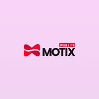 Website Motix image 1