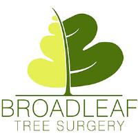 Broadleaf Tree Surgery image 1