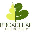 Broadleaf Tree Surgery logo