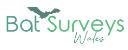 Bat Surveys Wales logo