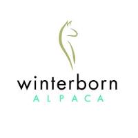 Winterborn Alpaca UK image 1