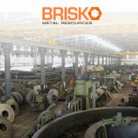 Brisko Metal Resources image 3