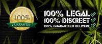 The Vault Cannabis Seeds Store image 1