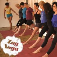 Zagyoga Iyengar Yoga Studio image 1