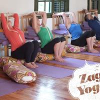 Zagyoga Iyengar Yoga Studio image 2