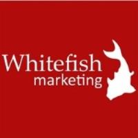 Whitefish Marketing image 1