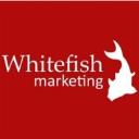Whitefish Marketing logo
