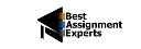 Best Assignment Experts logo