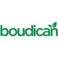 Boudican Ltd image 4