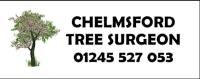 Chelmsford Tree Surgeon image 1