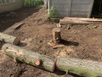 Stump Removal Services image 3