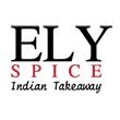 Ely Spice Indian Takeaway logo