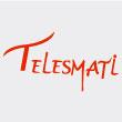Telesmati Takeaway logo