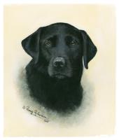 Penny Richardson Pet Portrait Artist image 1