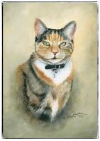 Penny Richardson Pet Portrait Artist image 5