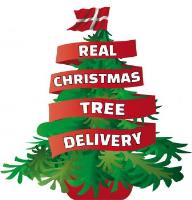 REAL CHRISTMAS TREE DELIVERY image 1