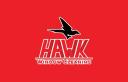 Hawk Window Cleaning logo