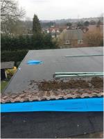 Roof Check image 2