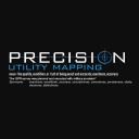 Precision Utility Mapping logo