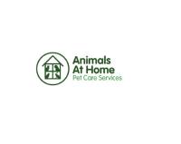 Animals at Home (Tunbridge Wells and Sevenoaks) image 1