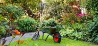 Best Gardeners Bristol image 2