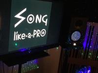 Song Like A Pro image 11