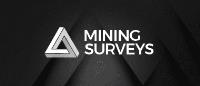 Merrett Mining Surveys image 4
