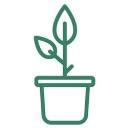 Root Houseplants logo