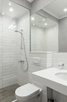 Mobility Showering Solutions image 1