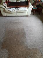 TJ Carpet Cleaning image 5
