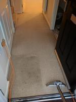 TJ Carpet Cleaning image 9