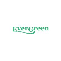 Evergreen Nebulisers Ltd image 1