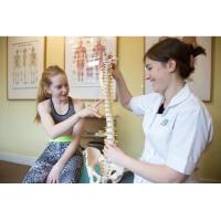 Beckenham and Bromley Chiropractic Clinic image 4