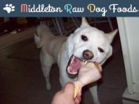 Rawdogsfood image 1