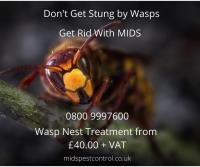 MIDS Pest Control ltd image 2