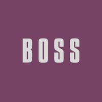 Boss agency image 1