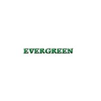 Evergreen Shrubs image 1