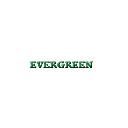 Evergreen Shrubs logo