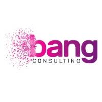 Bang Consulting image 1