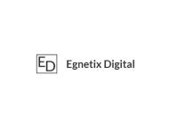 Egnetix Digital image 1