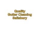 Quality Gutter Cleaning logo
