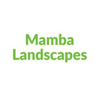 Mamba Landscapes image 1
