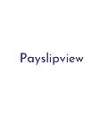 Payslipview logo