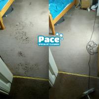Pace Specialist Cleaners image 1