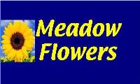 Meadow Flowers image 1