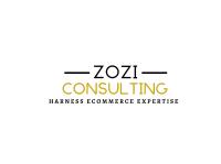 Zozi Consulting image 1