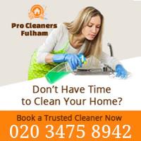 Pro Cleaners Fulham image 1