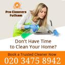 Pro Cleaners Fulham logo