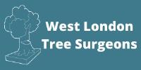West London Tree Surgeons image 1