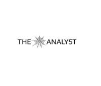 The Web Analyst image 1